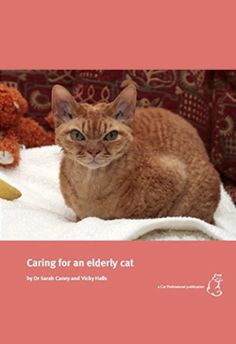 Caring for Eldery Cats